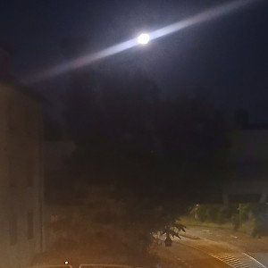 Xao