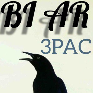 BI AR