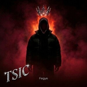TSIC