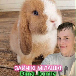 ЗАЙЧИКІ МІЛАШКІ