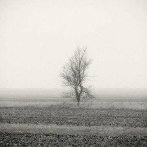 Hollowed thoughts