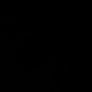 BLACKED OUT