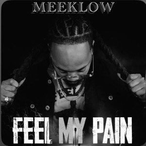 FeelmypainBYMeekLow
