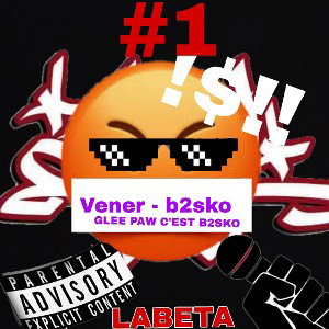 b2sko - vener sur une vie difficile 