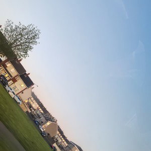 chilling in the sonshine