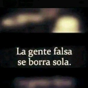 vida de malandros