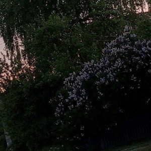 самые популярные/дорожное движение