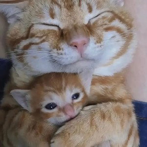 будь собой и никого не слушай