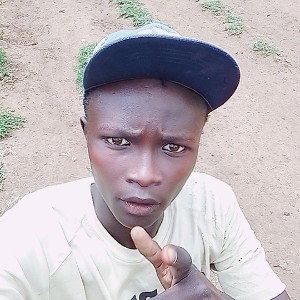 Ventry classic nikungori official audio 