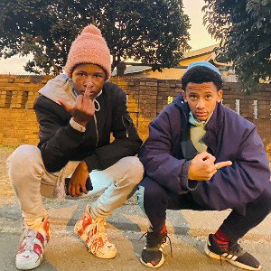 The steppers 