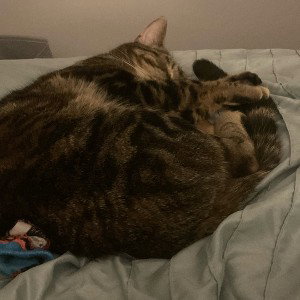 loosing interest 