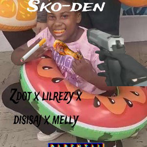 skoden 