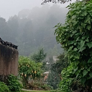 Raps entre arcilla- Lírica Street (VatesLiric/Jhonysolo)