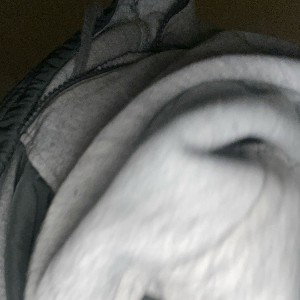 Ariana