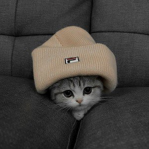 Girlik _Блогер_ 