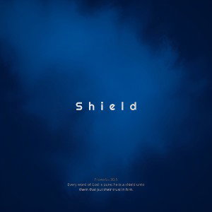 Shield