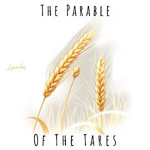 Parable of The Tares