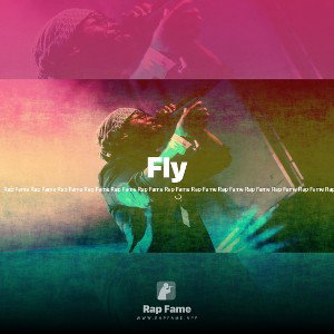 Fly