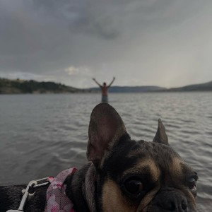 Reach for the sky