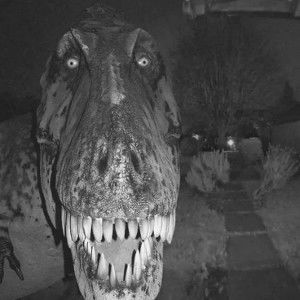 T-REX
