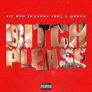 Lil Bro PushazInk & Rappa - Bitch Please