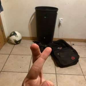 rip