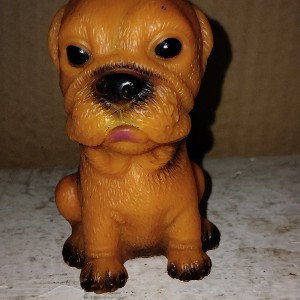 Mi primera rima