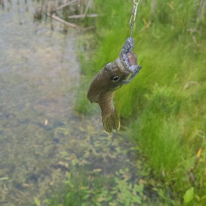 I'd be fishing