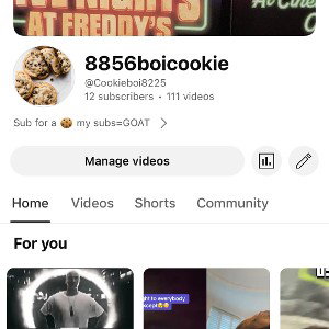 @cookieboi8225