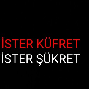 İster küfret İster şükret