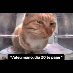 "píter"🐢(previa de beat)