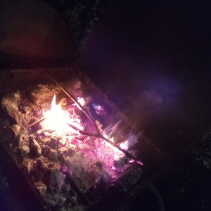 krumb life 