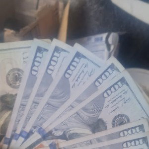 I WONT LOSE!!!!!!!!