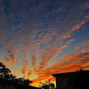 Sunrise 