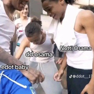 switch land