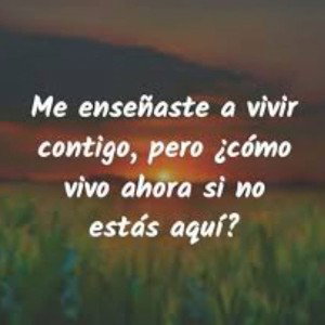 sin ti no puedo vivir 
