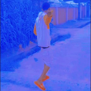 L*rap
