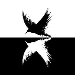 The Raven - Chrispin