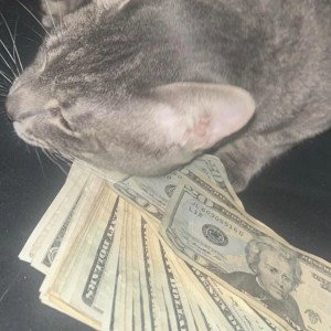 tip