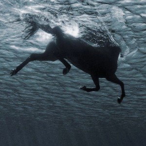 Илана Джалил(стихи.ру)
