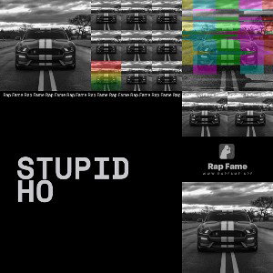 stupid ho