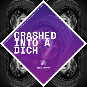 crashed into a dich