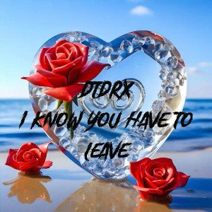 DTDRX 2.0 - I Know You Have To Leave