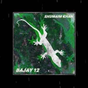 Bajay12