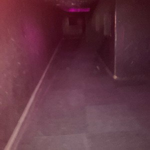 Hunted house