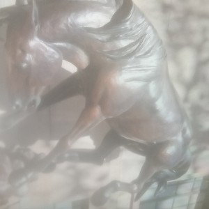 pwhizzle and my horse is in your town.