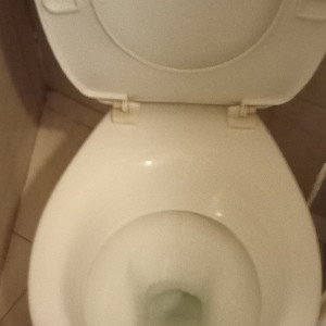 skybydy toilet