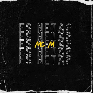 ES NETA