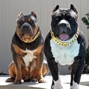 WON'T BE SLACK