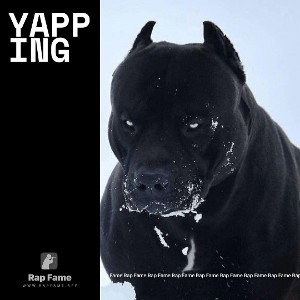 Yapping